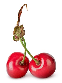 Pair red sweet cherry isolated on white background