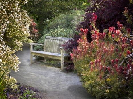 A dirt path leading to a bench placed in a secluded location in a formal garden.