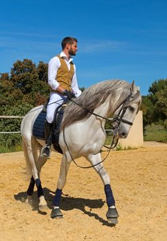 trianing of dressage for a riding girl and stallion 