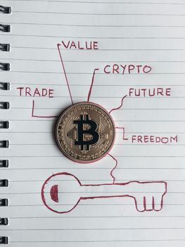 Cryptocurrency physical gold bitcoin coin in notebook.