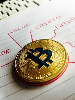 Cryptocurrency physical gold bitcoin coin in notebook. Value Crypto Future.