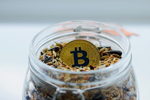 Cryptocurrency physical gold bitcoin coin and seeds in glass jar.