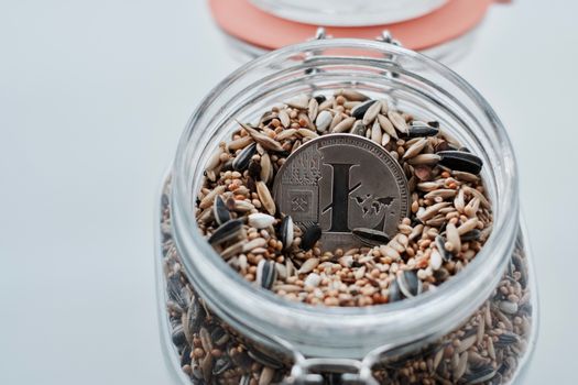 Cryptocurrency physical silver Litecoin coin in jar with seeds.