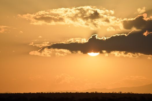 Sunset over the savanna of Tsavo West Park in Kenya