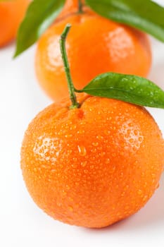 close up of washed tangerines with leaves