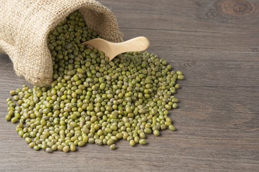 Mung bean, green gram or genus Phaseoias in sack with wooden spoon on wood background.