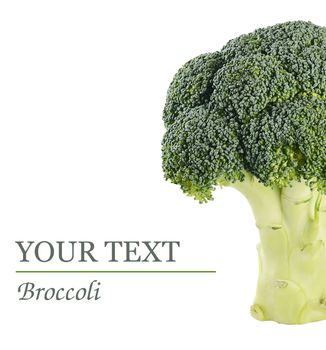 Fresh broccoli isolated on a white background