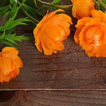 Beautiful orange flowers on a wooden background