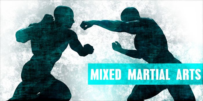 Mixed Martial Arts Self Defence Training Concept