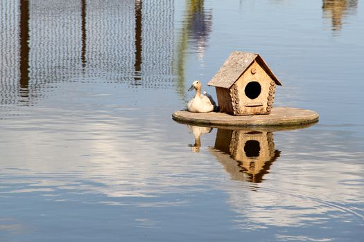 wood Duck house on the lake. photo