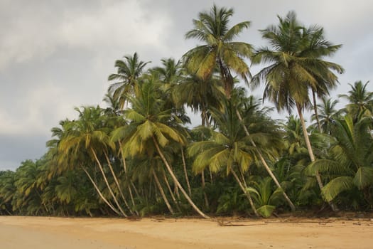 Praia Coco on an overcast day, Principe Island, Sao Tome and Principe, Africa