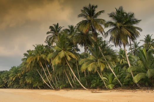 Praia Coco on an overcast day, Principe Island, Sao Tome and Principe, Africa