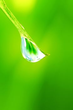 Big water drop on grass blade macro