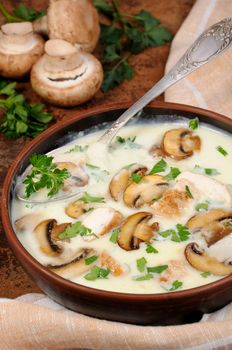 Delicate soup puree from champignons and chicken with herbs