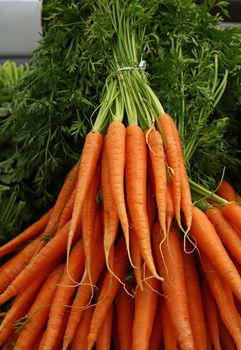 Bunches of fresh new spring orange carrots with green top leaves on retail market stall display, close up, high angle front view