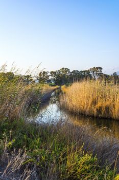 The Gialova lagoon is one of the most important wetlands in Europe, because it constitutes the southernmost migratory station of migratory birds in the Balkans to and from Africa.