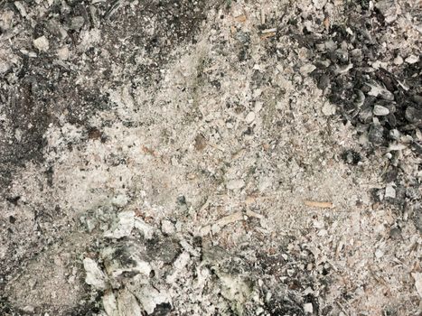 ash from a campfire outside on the ground