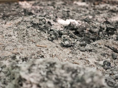 ash from a campfire outside on the ground