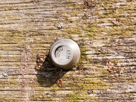 close up of a silver metal bolt held and a wooden board texture background nailed and fixed in holding together building and construction materials