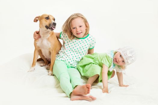 two little girls and dog on the isolated background