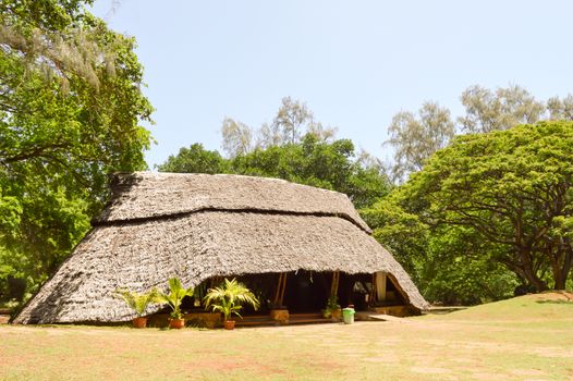 Traditional Habitat in the Forest of a Mombasa Park in Kenya