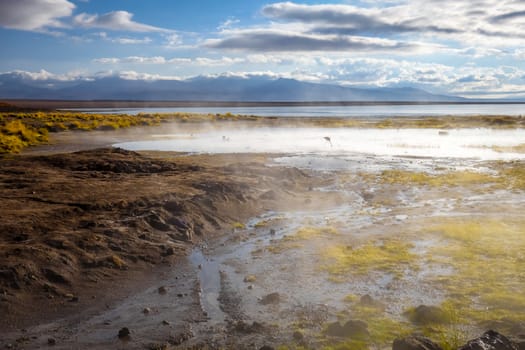 Lake in sol de manana geothermal field, sud Lipez reserva Eduardo Avaroa, Bolivia