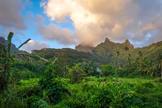 Moorea island jungle and mountains landscape. French Polynesia