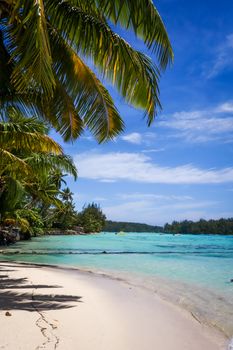 Paradise tropical beach and lagoon in Moorea Island. French Polynesia