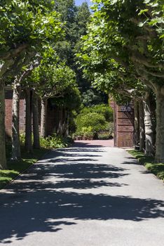 This photo was taken at a formal botanical garden near San Francisco, California. Spring had arrived, and flowers are in bloom. This image features a gravel path leading to a formal garden.