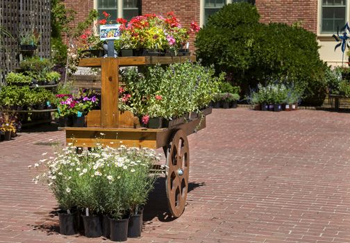This photo was taken at a formal botanical garden near San Francisco, California. Spring had arrived, and flowers are in bloom. This image features an old cart with an assortment of colorful flowers.
