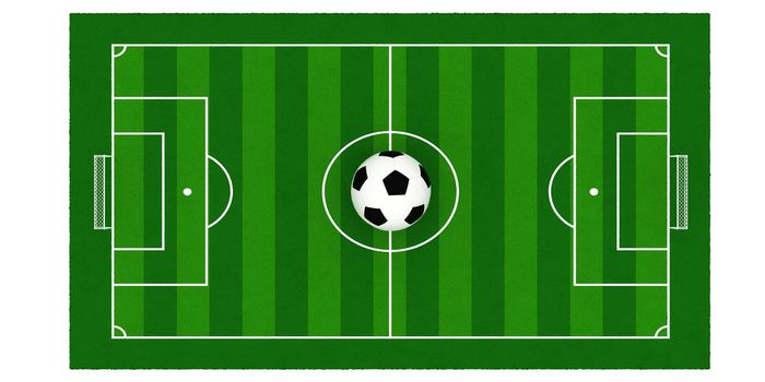 soccer field or football field,3d