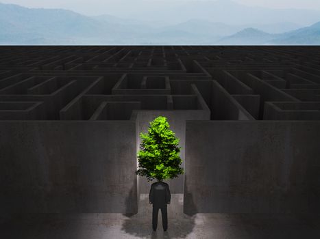 man with tree in front of a huge maze,eco concept