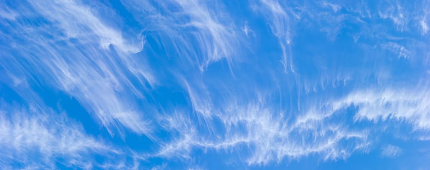 Background of a panoramic view of a fragment of the sky with cirrus clouds in summer day
