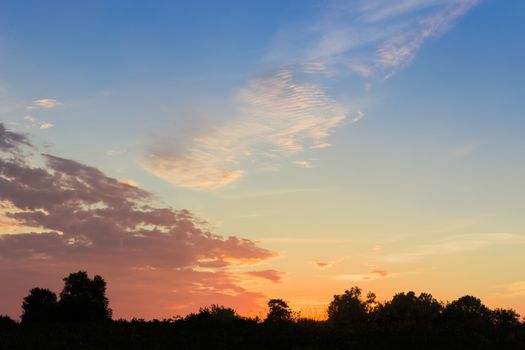 Sky with clouds after sunset against a background of dark silhouettes of trees on the horizon in summer
