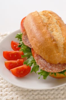 crusty roll sandwich with salami on white plate