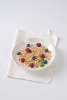 plate of granola with milk and fresh berry fruit