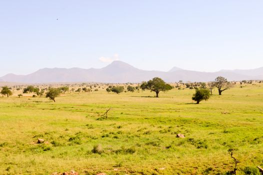 View of the Tsavo East savannah in Kenya with the mountains in the background