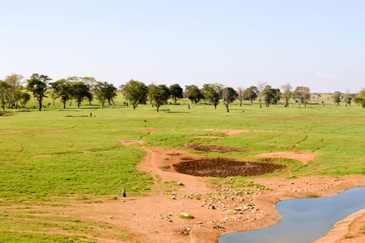 View of the Tsavo East savannah in Kenya with the mountains in the background