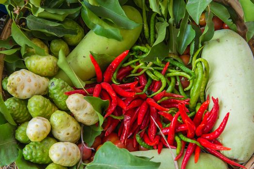 organic food with assorted raw vegetables in garden.