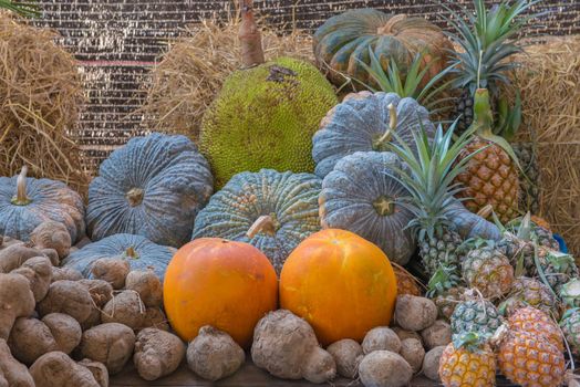 jackfruit pineapple yam taro pumpkin fruit in garden.