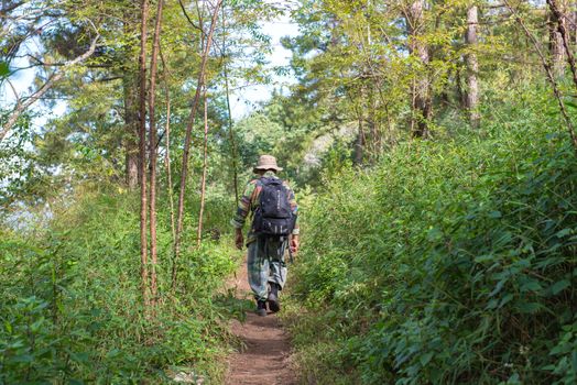 soldier or chasseur walking through a forest with lush grass.