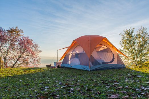 Camping tent in campground on top of mountain with sunrise at Doi Luang Chiang Dao, ChiangMai Thailand.