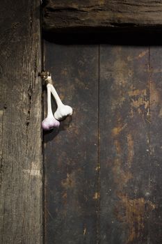 Bunch of garlic on an old wooden door