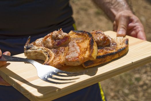 Meat roast in the barbecue in the countryside