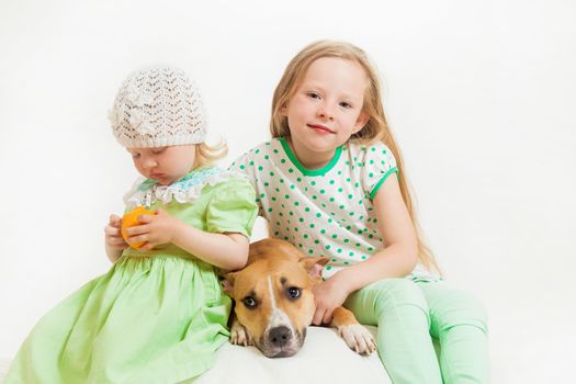 two little girls and dog on the isolated background