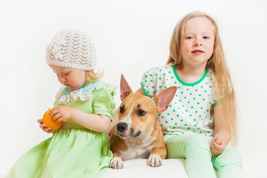 two little girls and dog on the isolated background