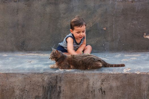 Dear little laughing boy and a cat on a wall.