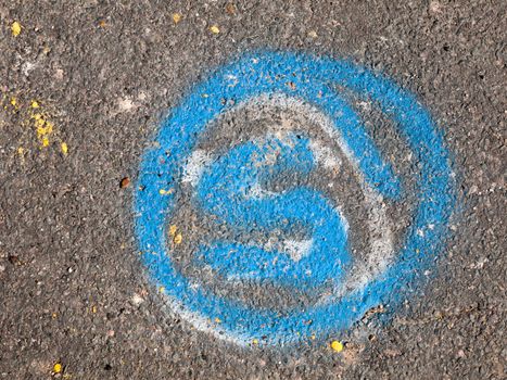 blue letter s circle paint on road