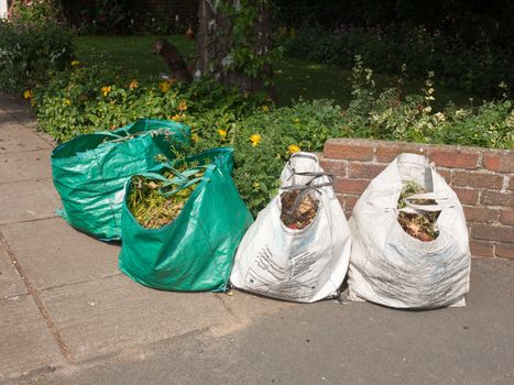 green and white recycling bags full of plant and foliage and garden materials