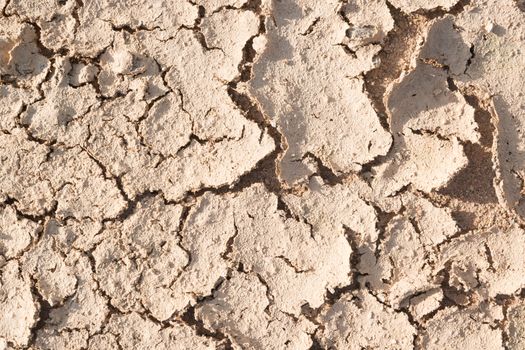 Dry cracked earth.